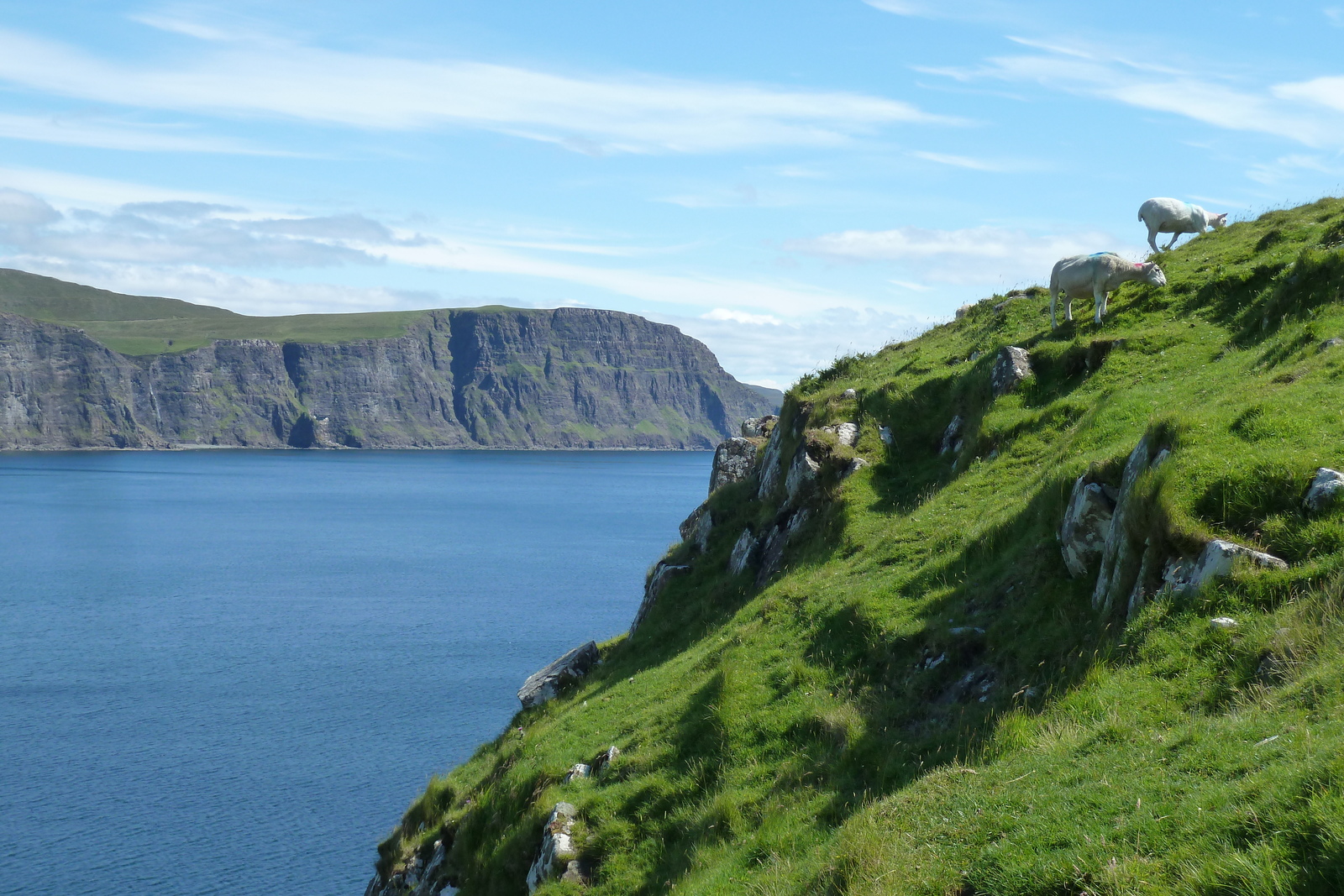 Picture United Kingdom Skye Neist Point 2011-07 42 - Car Neist Point