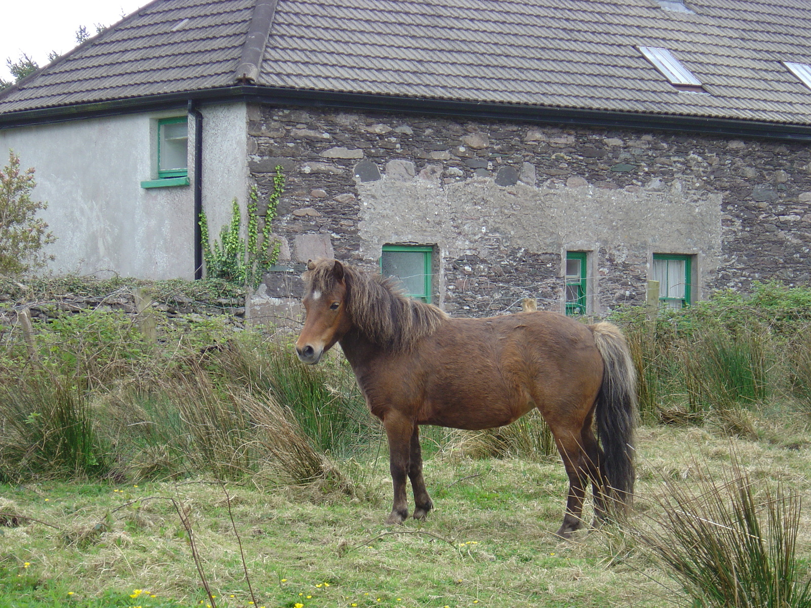 Picture Ireland Kerry Parknasilla 2004-05 23 - Journey Parknasilla