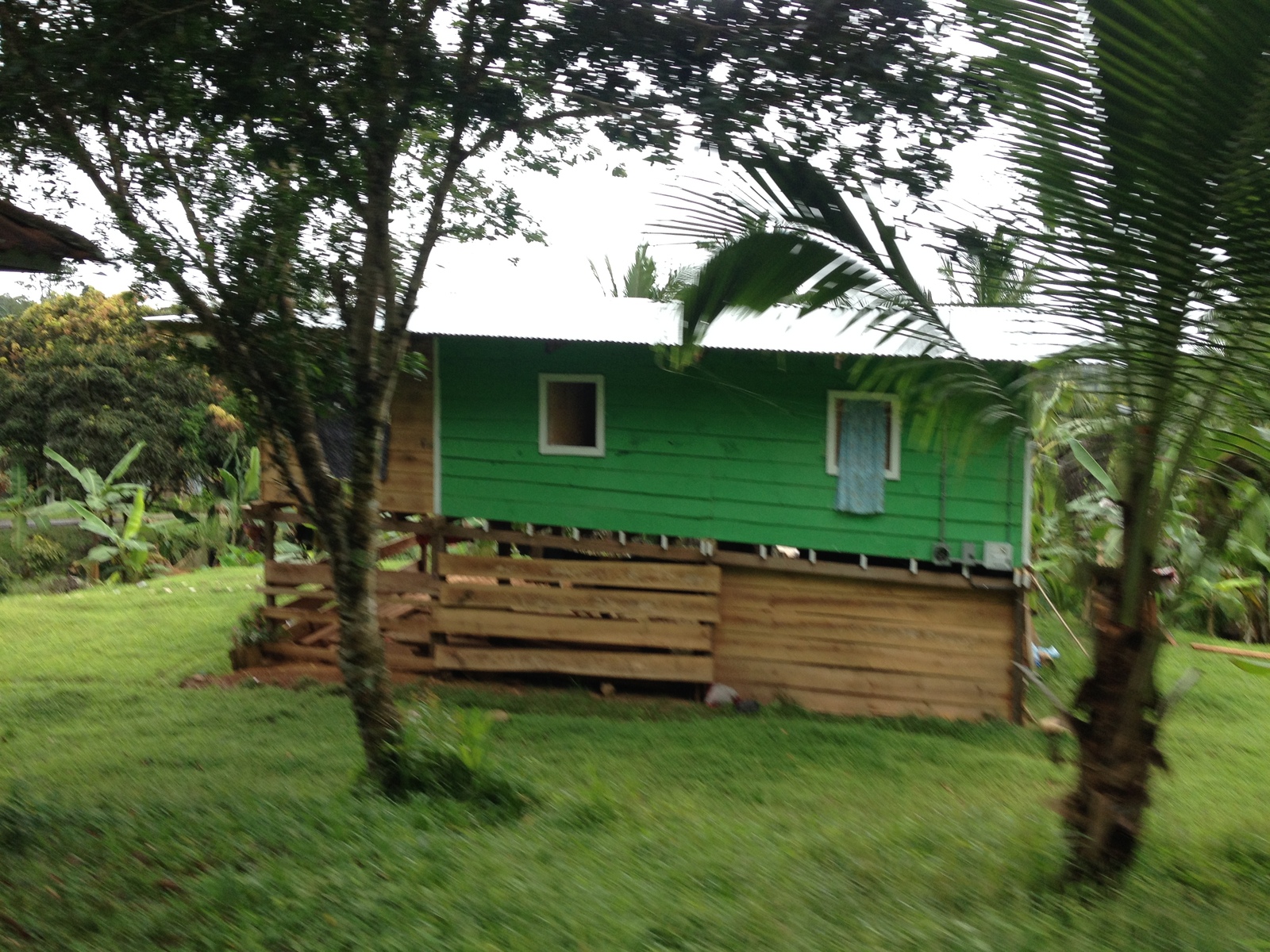 Picture Panama David to Bocas del toro 2015-03 79 - Randonee David to Bocas del toro