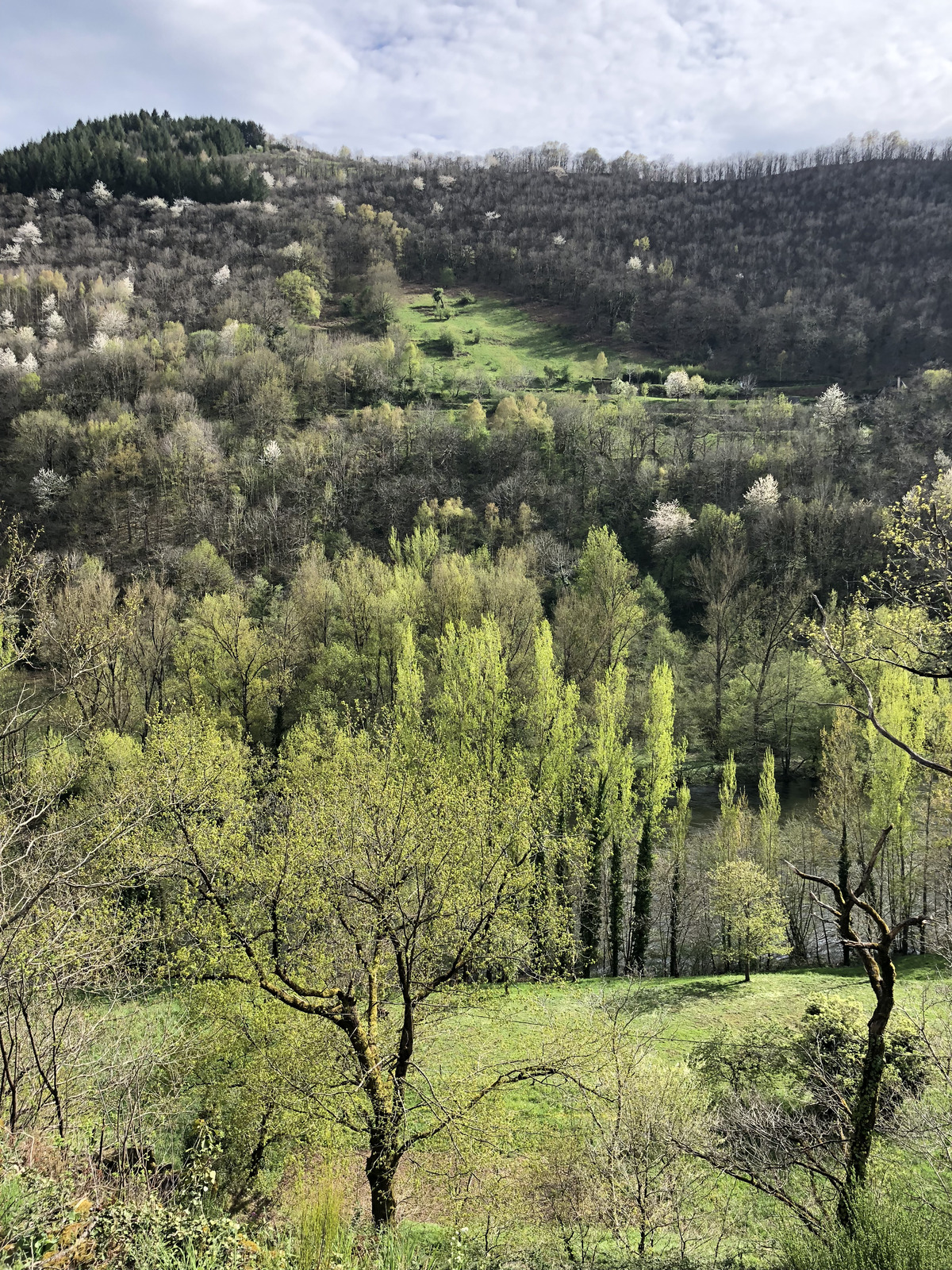 Picture France Conques 2018-04 69 - Visit Conques