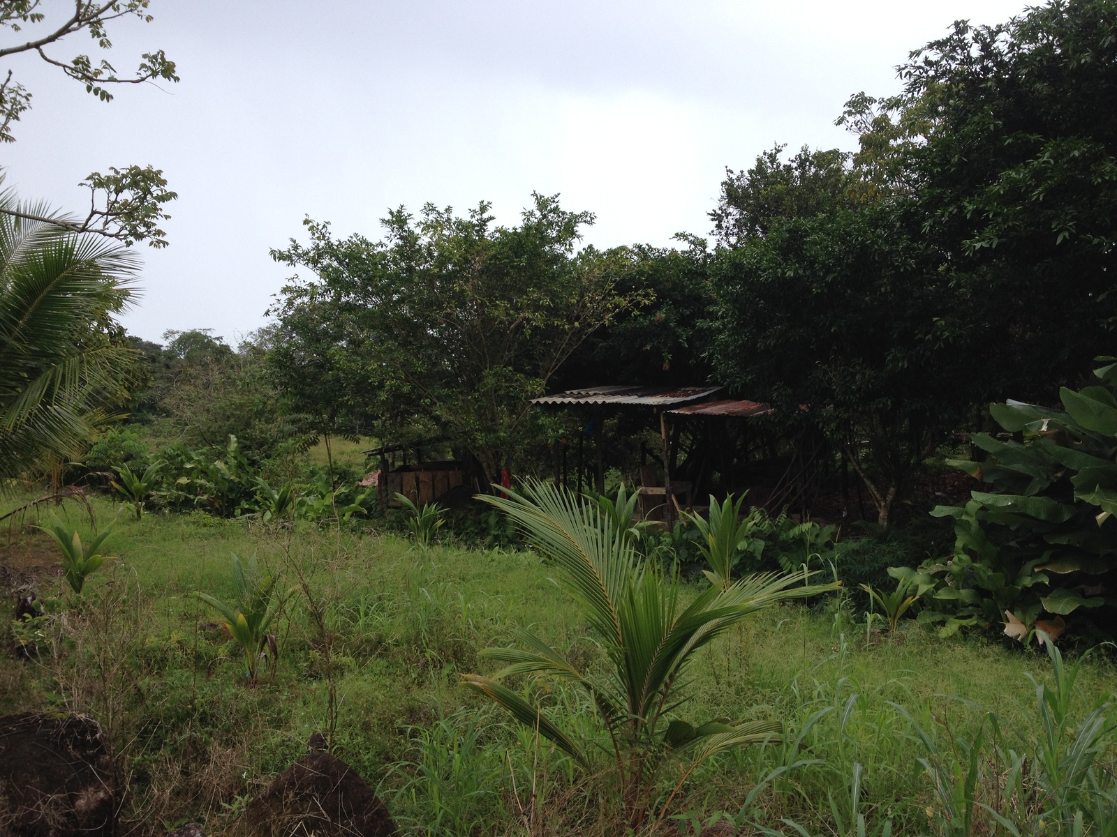 Picture Panama David to Bocas del toro 2015-03 48 - Tourist Attraction David to Bocas del toro