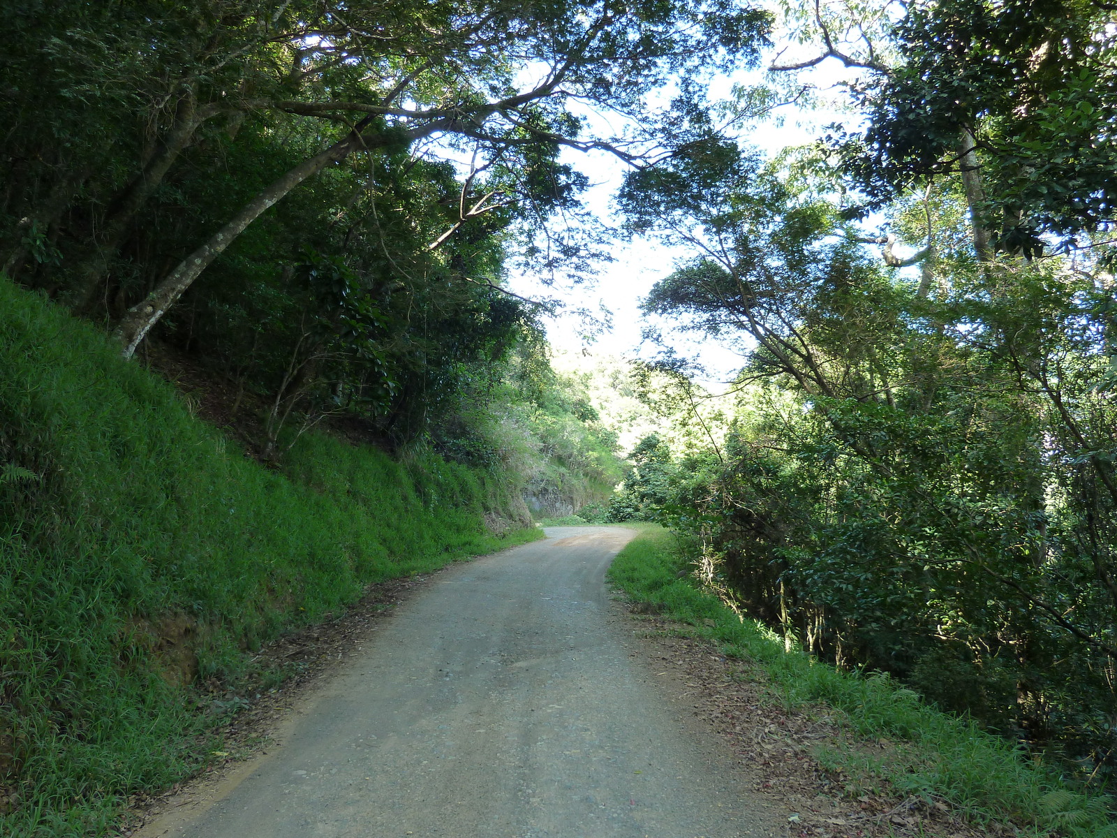 Picture New Caledonia Thio to Canala road 2010-05 54 - Photos Thio to Canala road