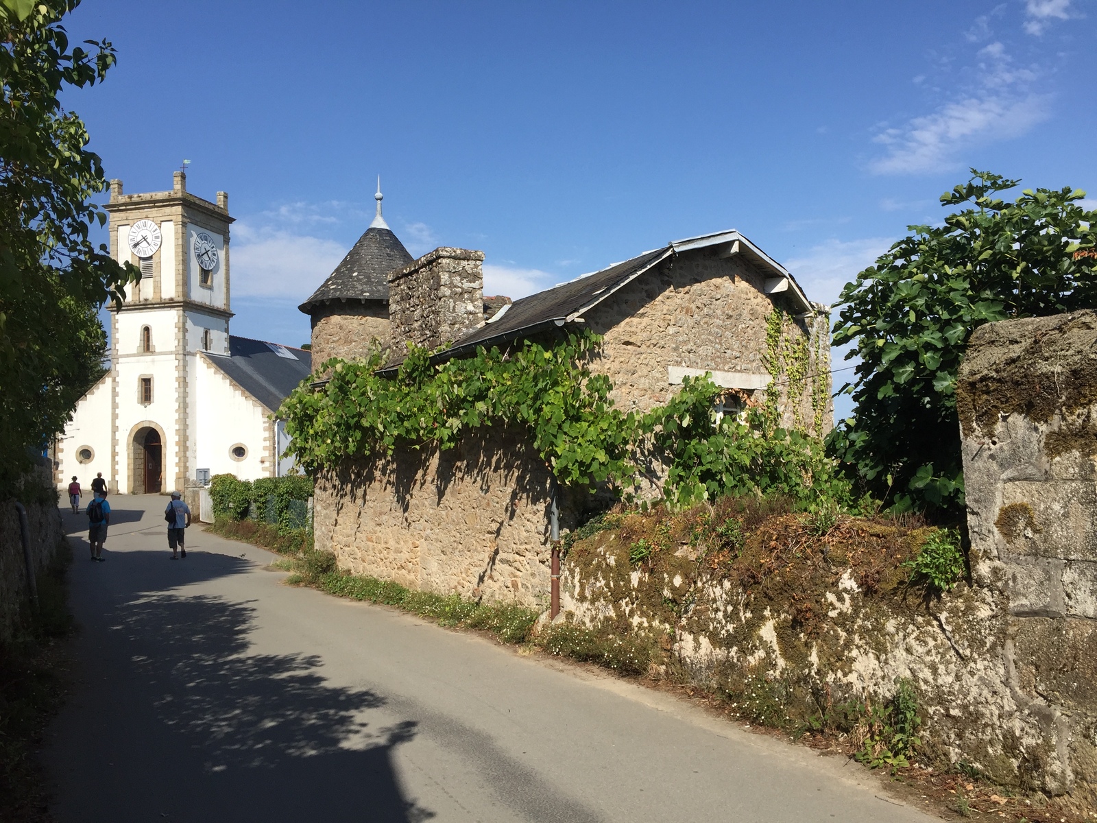 Picture France Ile-aux-Moines 2016-08 50 - Sightseeing Ile-aux-Moines