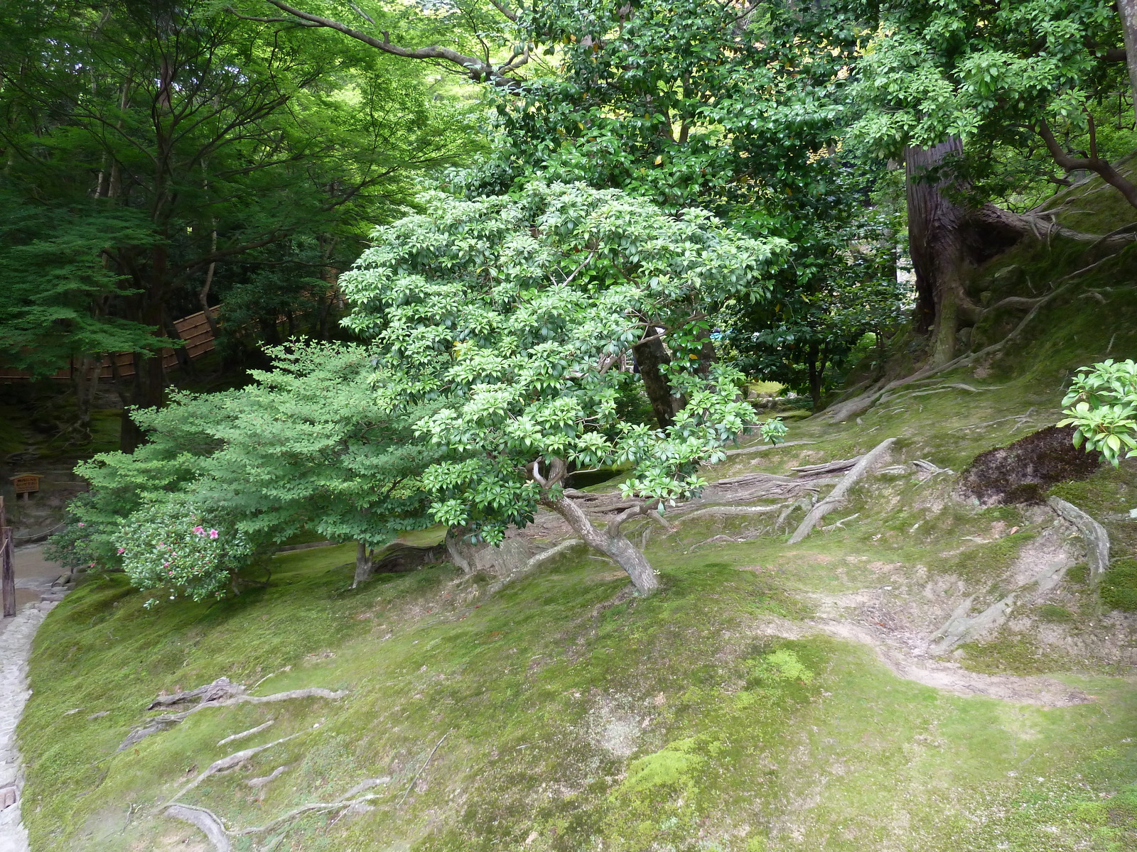 Picture Japan Kyoto Ginkakuji Temple(Silver Pavilion) 2010-06 59 - Travels Ginkakuji Temple(Silver Pavilion)