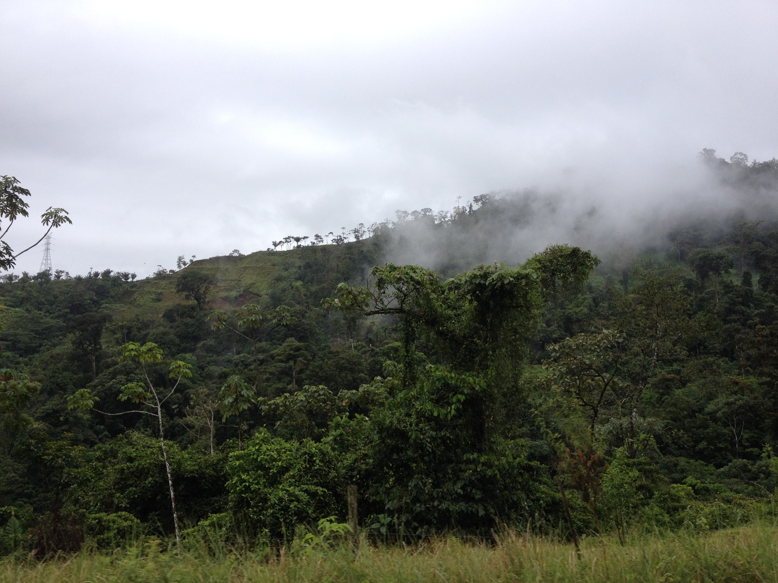 Picture Panama David to Bocas del toro 2015-03 65 - Journey David to Bocas del toro