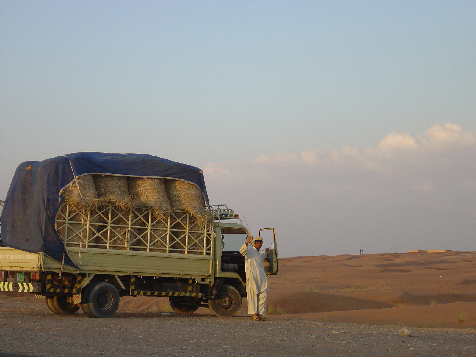 Picture United Arab Emirates Al Ain Desert 2005-11 16 - Car Rental Desert