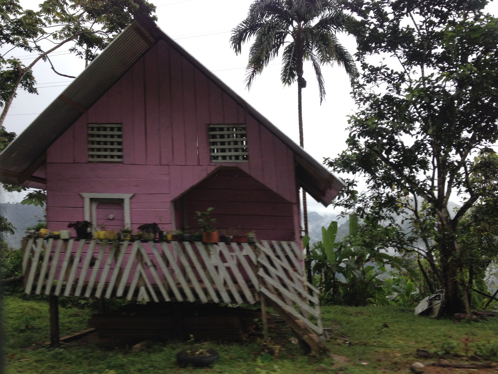 Picture Panama David to Bocas del toro 2015-03 40 - Randonee David to Bocas del toro