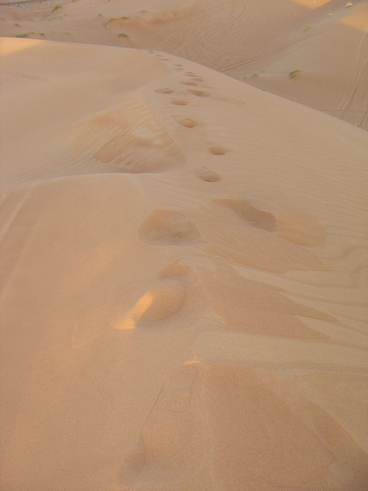 Picture United Arab Emirates Al Ain Desert 2005-11 1 - Pictures Desert