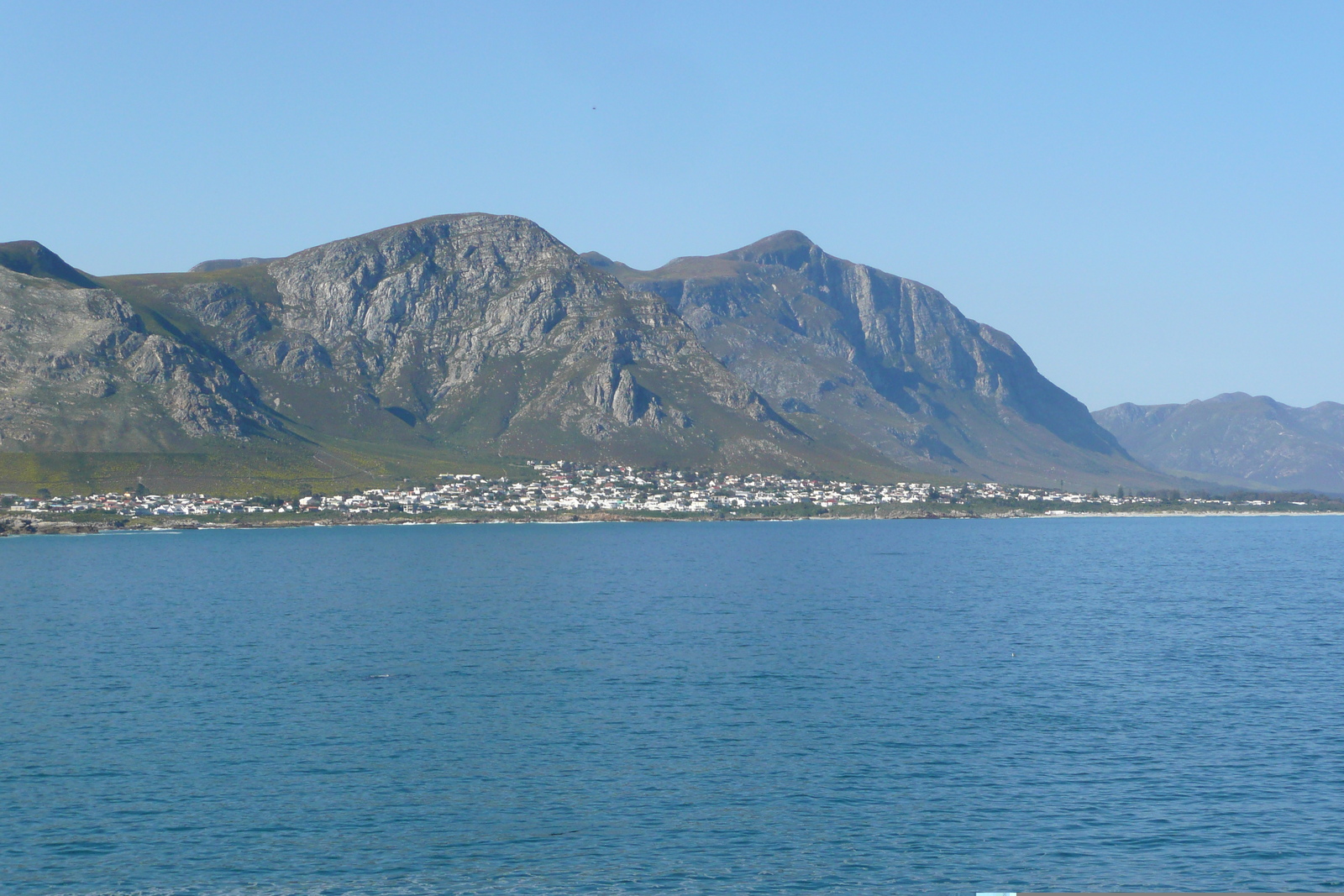 Picture South Africa Harmanus 2008-09 77 - Picture Harmanus