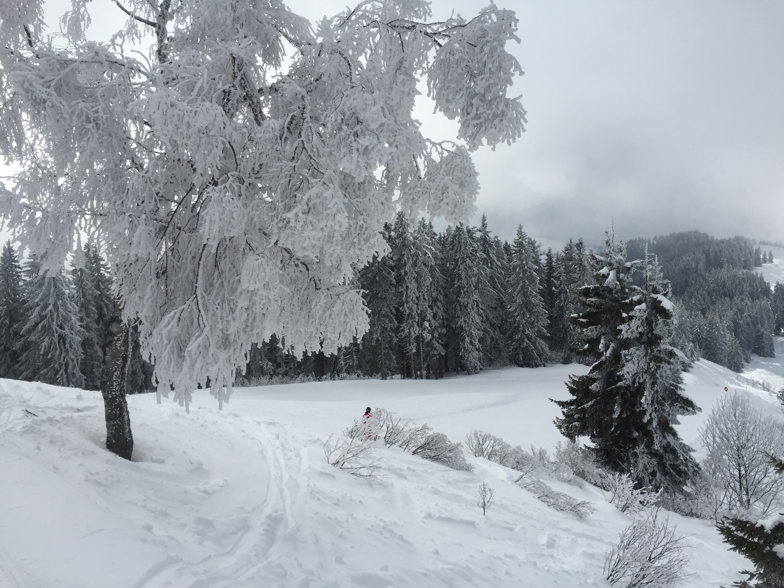 Picture France Megeve 2016-02 69 - Tourist Megeve