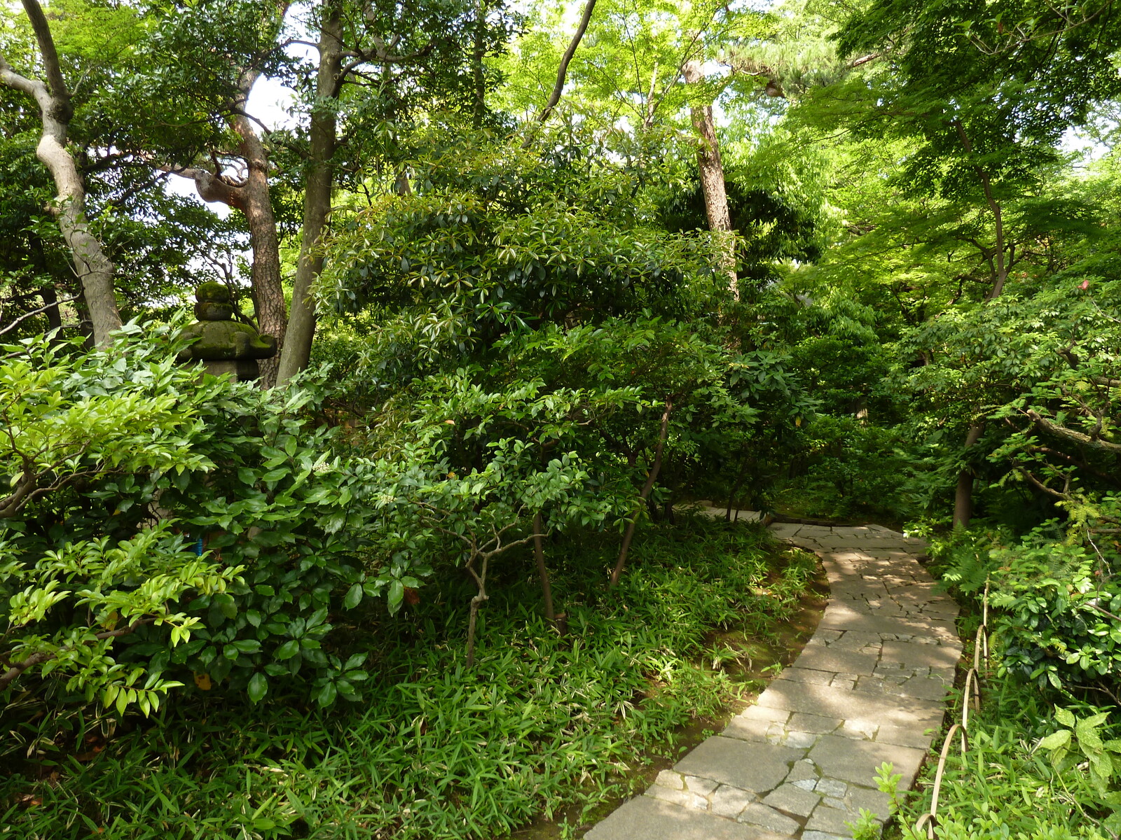 Picture Japan Tokyo Nezu Museum 2010-06 102 - Tourist Places Nezu Museum