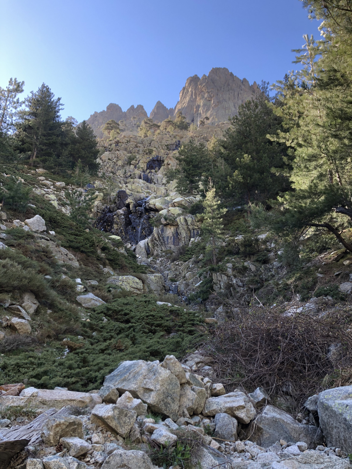 Picture France Corsica Lac de Melo et Capitello 2021-06 170 - Trail Lac de Melo et Capitello