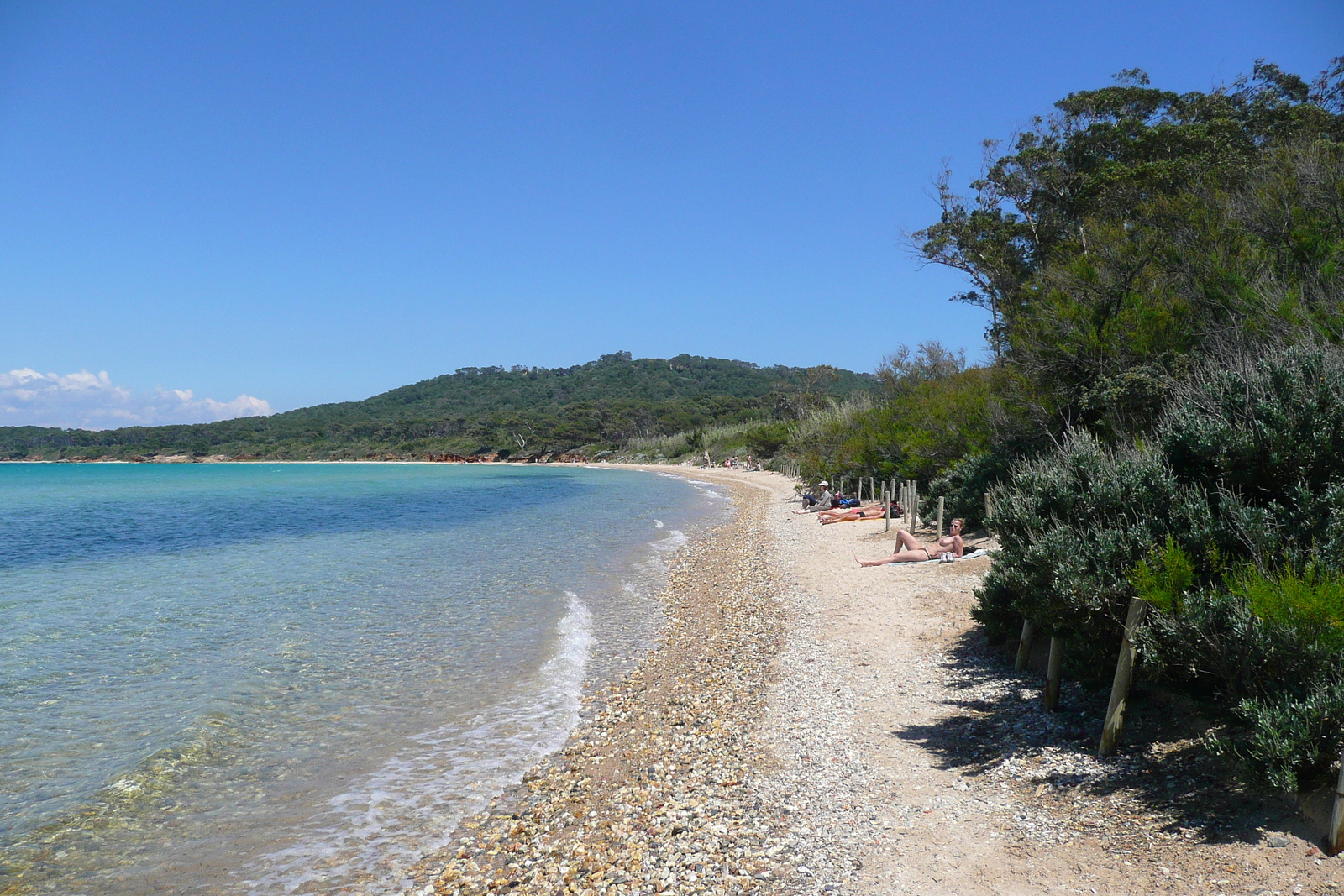 Picture France Porquerolles Island Courtade beach 2008-05 57 - View Courtade beach