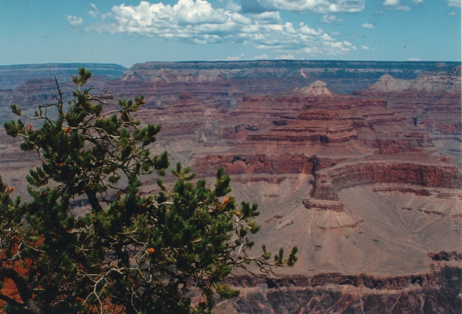 Picture United States Grand Canyon 1992-08 7 - View Grand Canyon