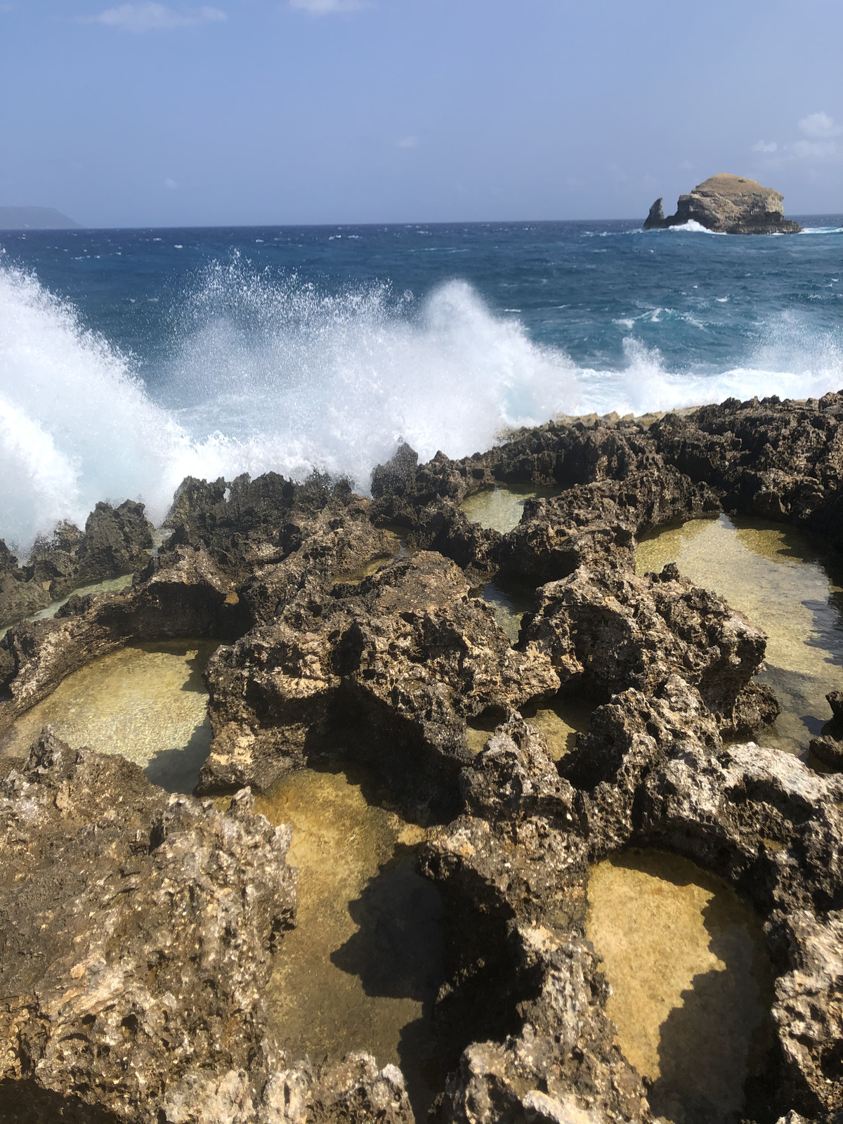 Picture Guadeloupe Castle Point 2021-02 204 - Discover Castle Point