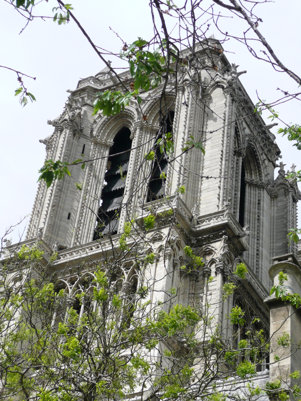 Picture France Paris Notre Dame 2007-05 121 - Perspective Notre Dame