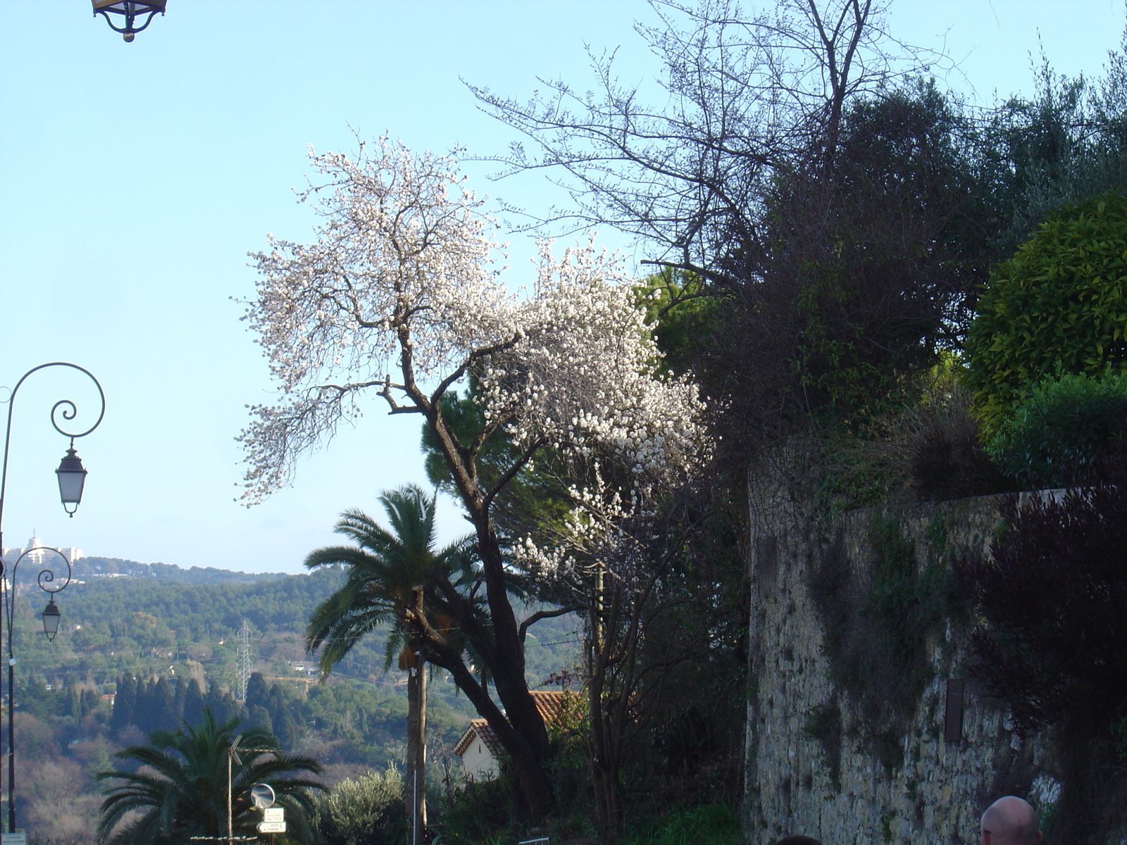 Picture France Mougins 2006-02 36 - Sightseeing Mougins