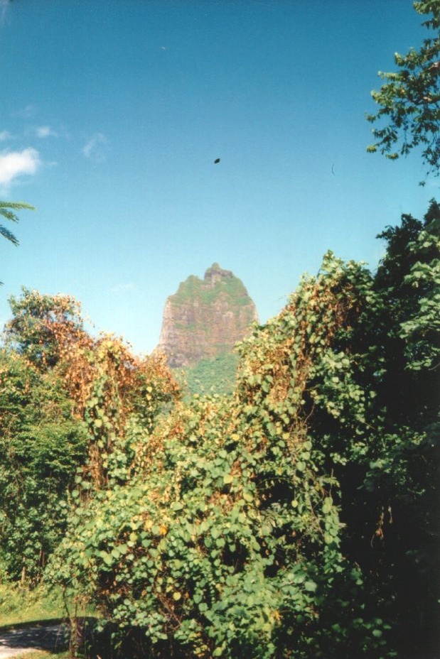 Picture Polynesia 1993-04 6 - Road Polynesia