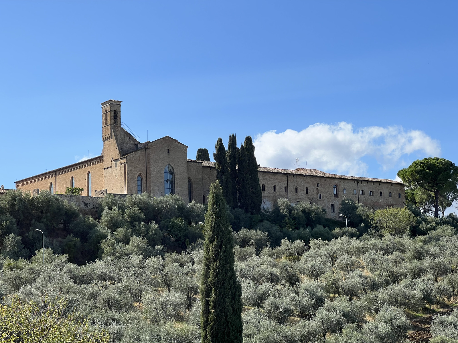 Picture Italy San Gimignano 2021-09 130 - Travels San Gimignano