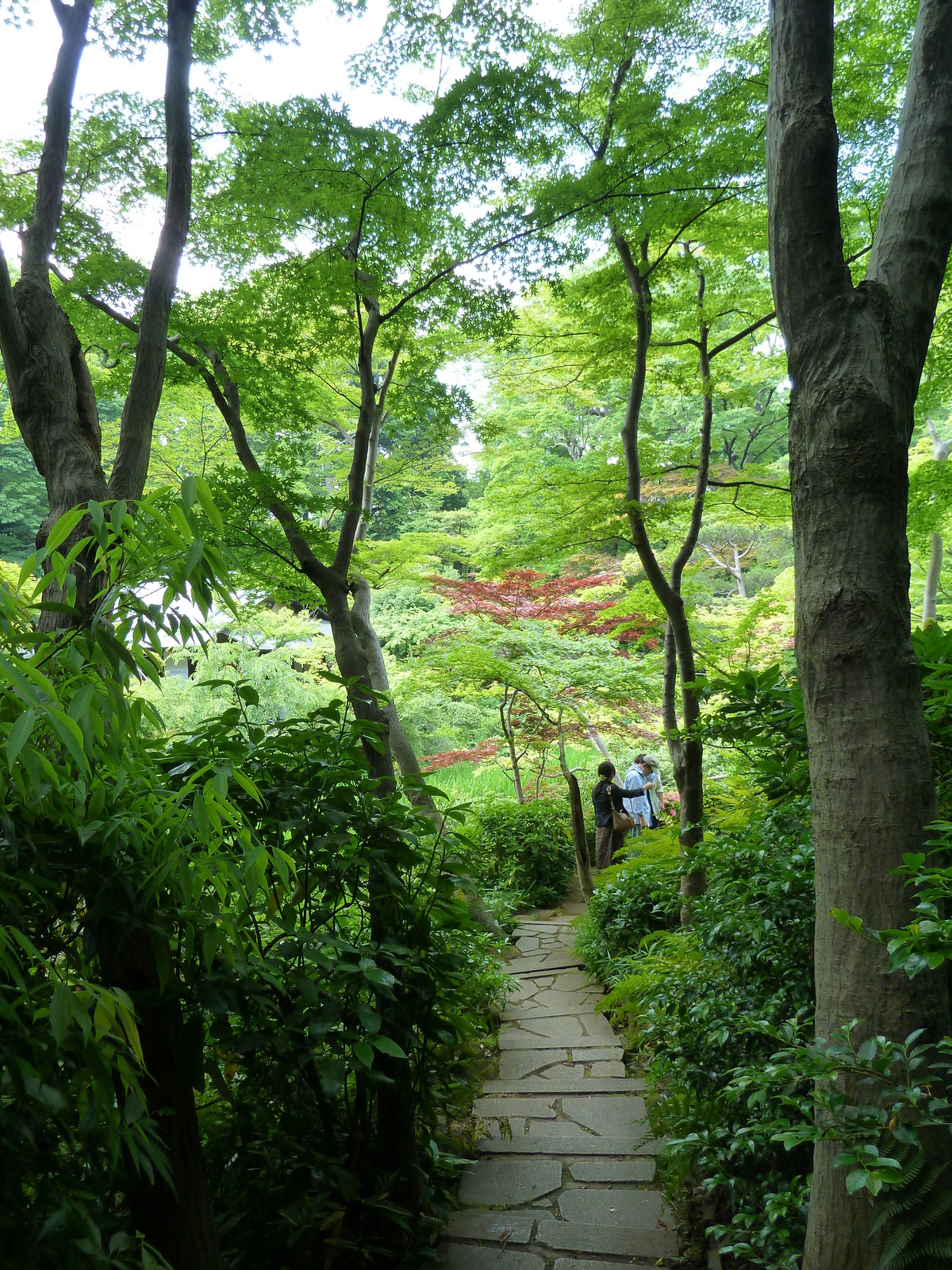 Picture Japan Tokyo Nezu Museum 2010-06 92 - Photos Nezu Museum