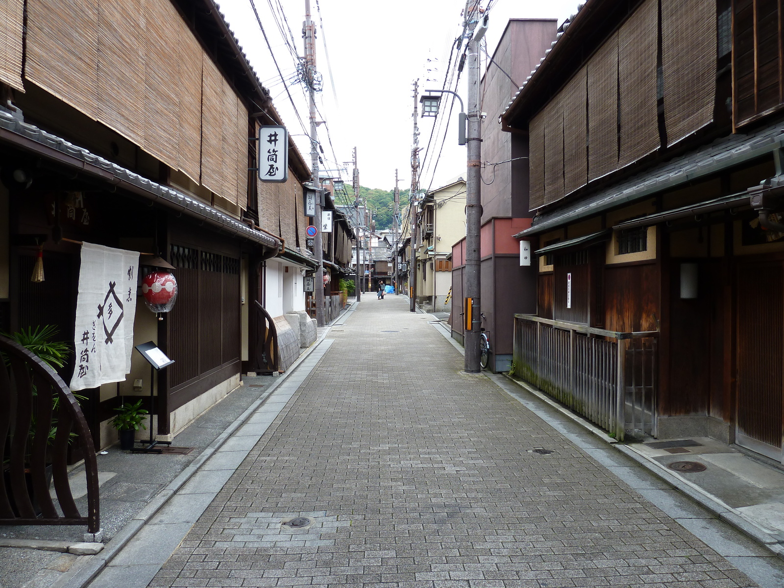 Picture Japan Kyoto Hanami koji 2010-06 8 - Perspective Hanami koji