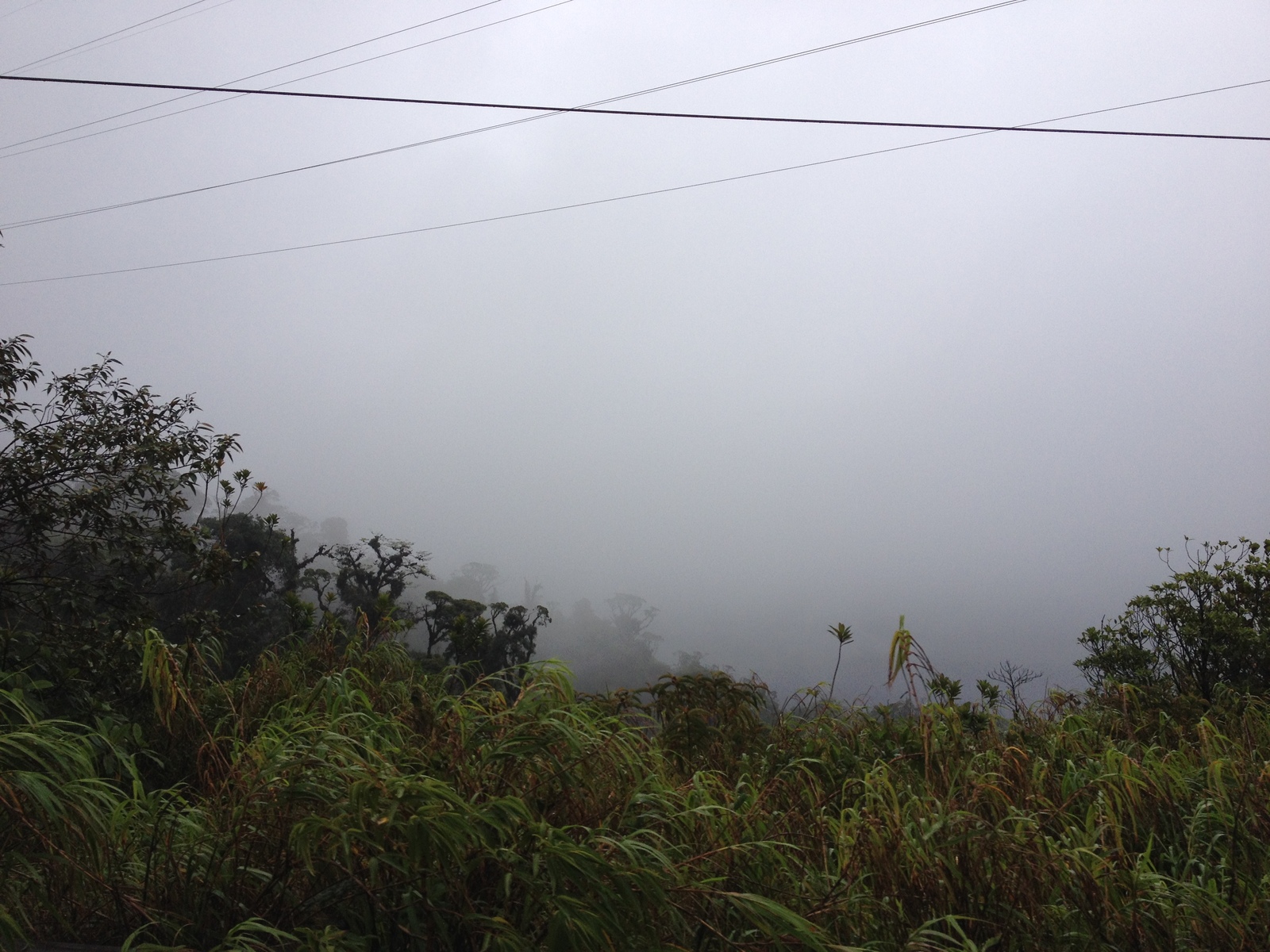 Picture Panama David to Bocas del toro 2015-03 71 - Perspective David to Bocas del toro