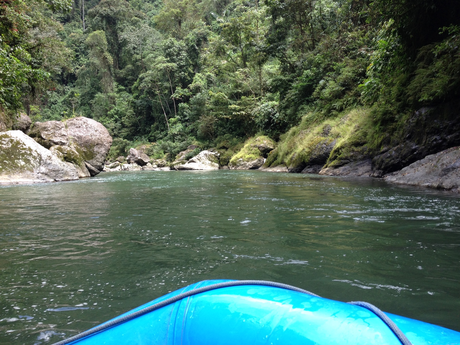 Picture Costa Rica Pacuare River 2015-03 113 - Travels Pacuare River