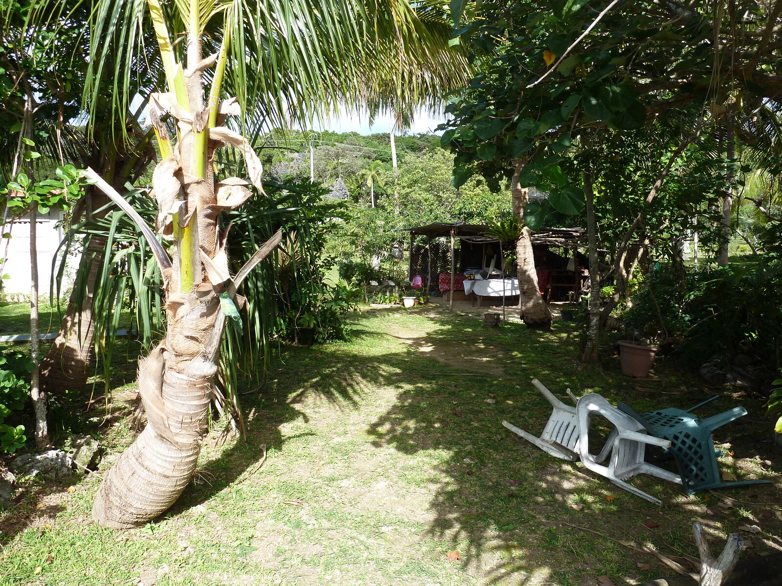 Picture New Caledonia Lifou Josip 2010-05 21 - Tourist Attraction Josip