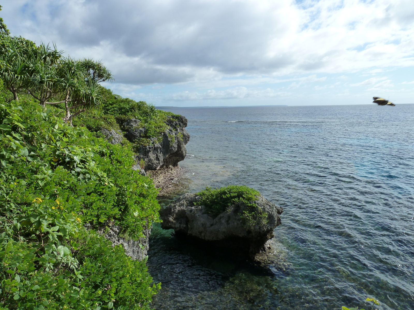 Picture New Caledonia Lifou Josip 2010-05 28 - View Josip