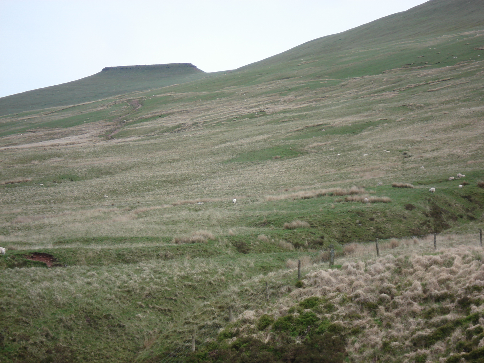 Picture United Kingdom Brecon Beacons National Parc 2006-05 49 - Perspective Brecon Beacons National Parc