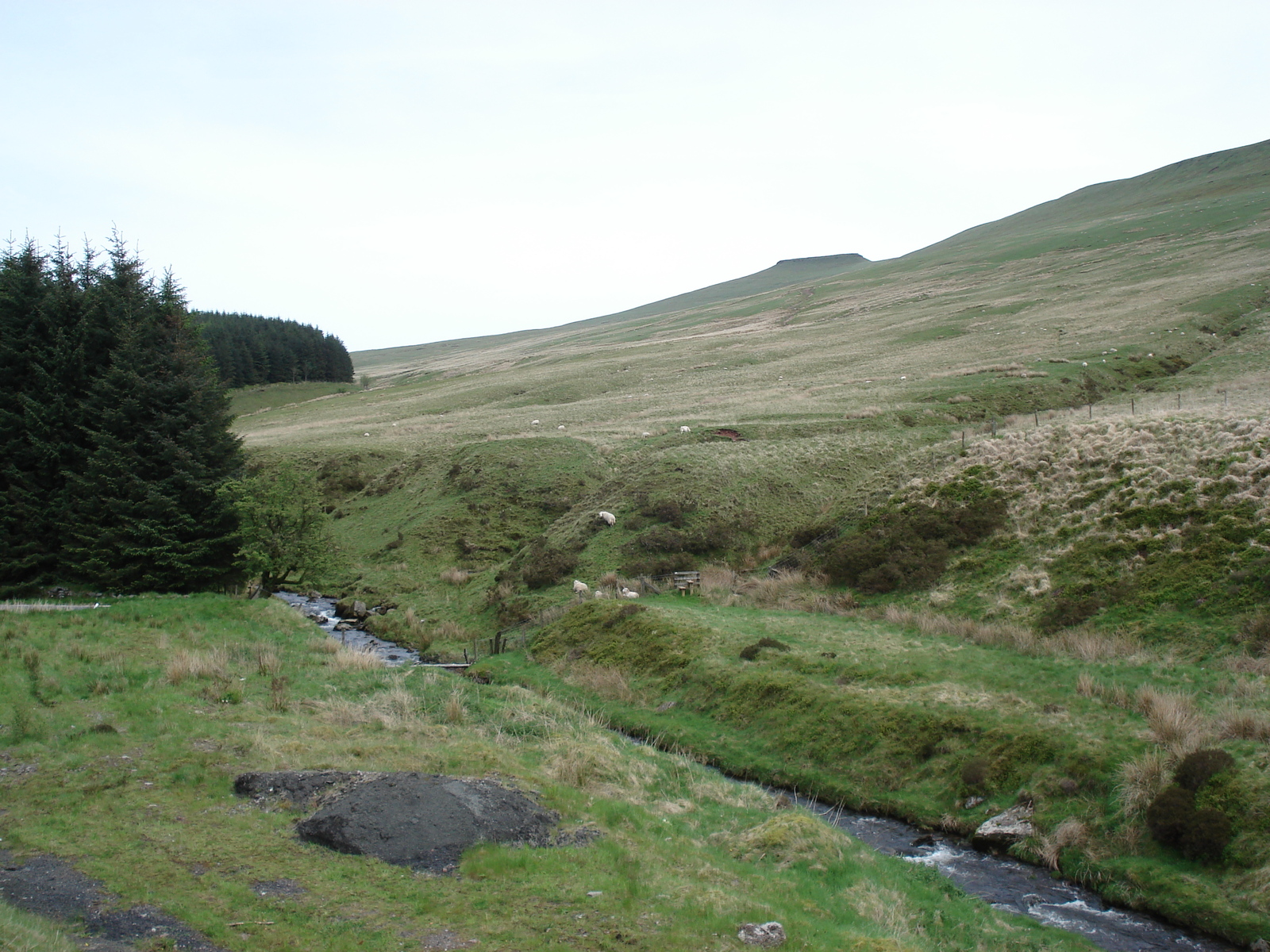 Picture United Kingdom Brecon Beacons National Parc 2006-05 59 - View Brecon Beacons National Parc