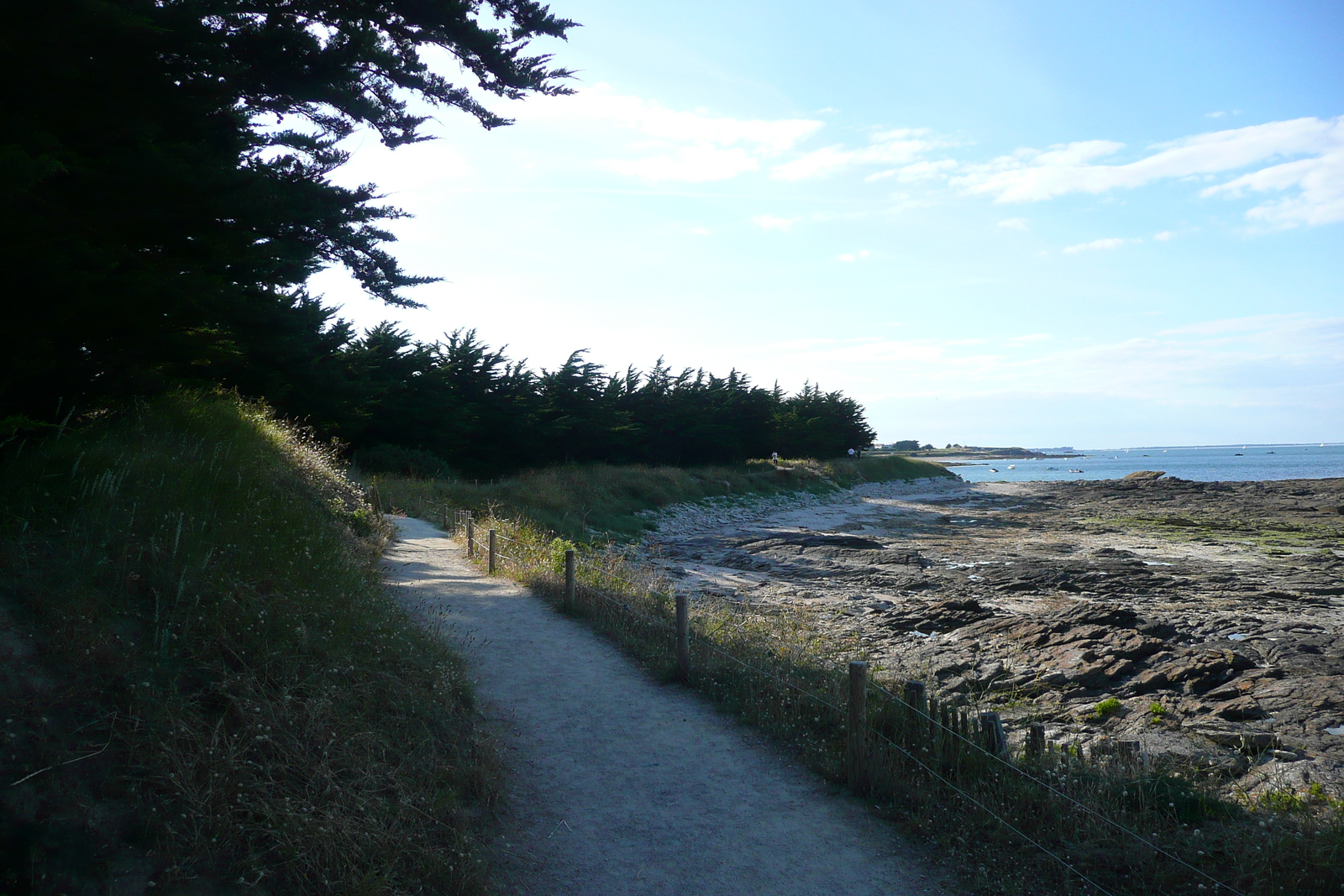 Picture France Quiberon peninsula Pointe du Conguel 2008-07 5 - Pictures Pointe du Conguel