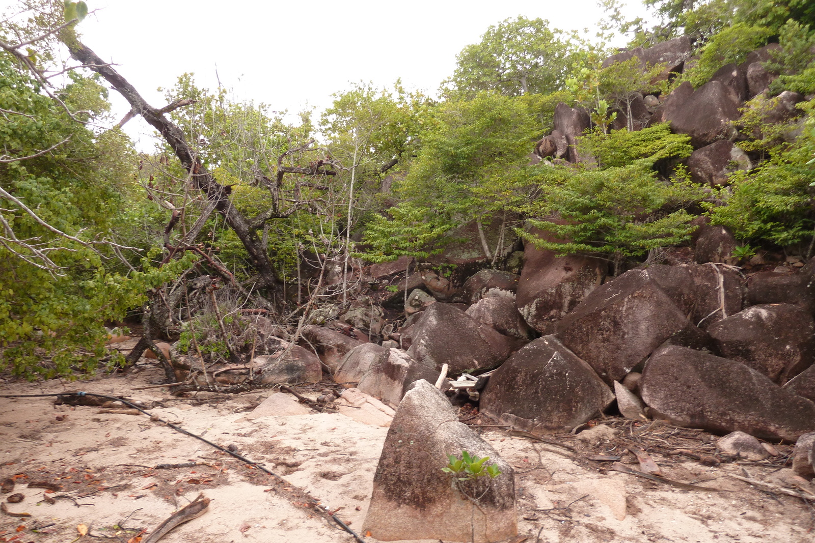 Picture Seychelles Curieuse 2011-10 25 - Picture Curieuse