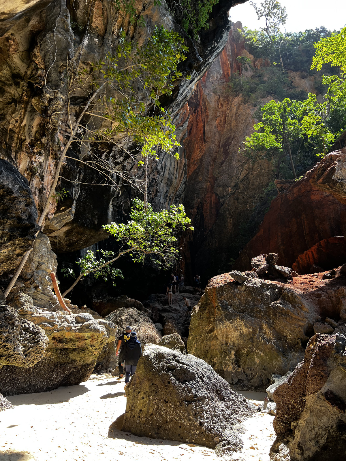 Picture Thailand Krabi 2023-01 157 - Randonee Krabi