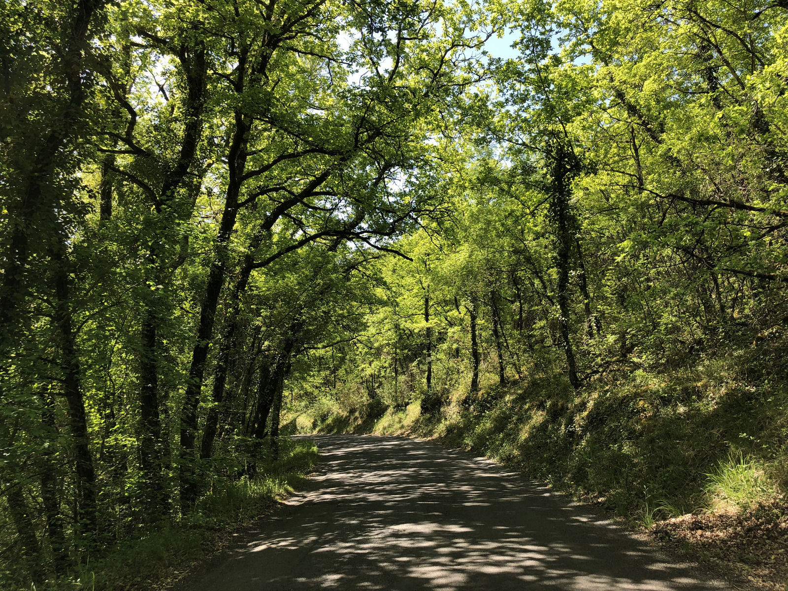 Picture France Floirac 2018-04 130 - Sight Floirac