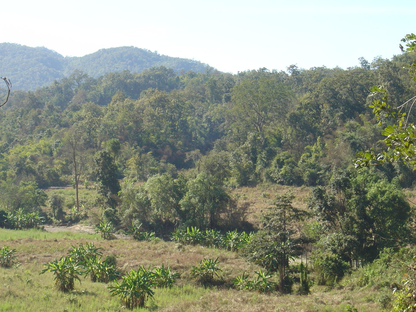 Picture Thailand Pang ma pha 2005-12 74 - Flights Pang ma pha