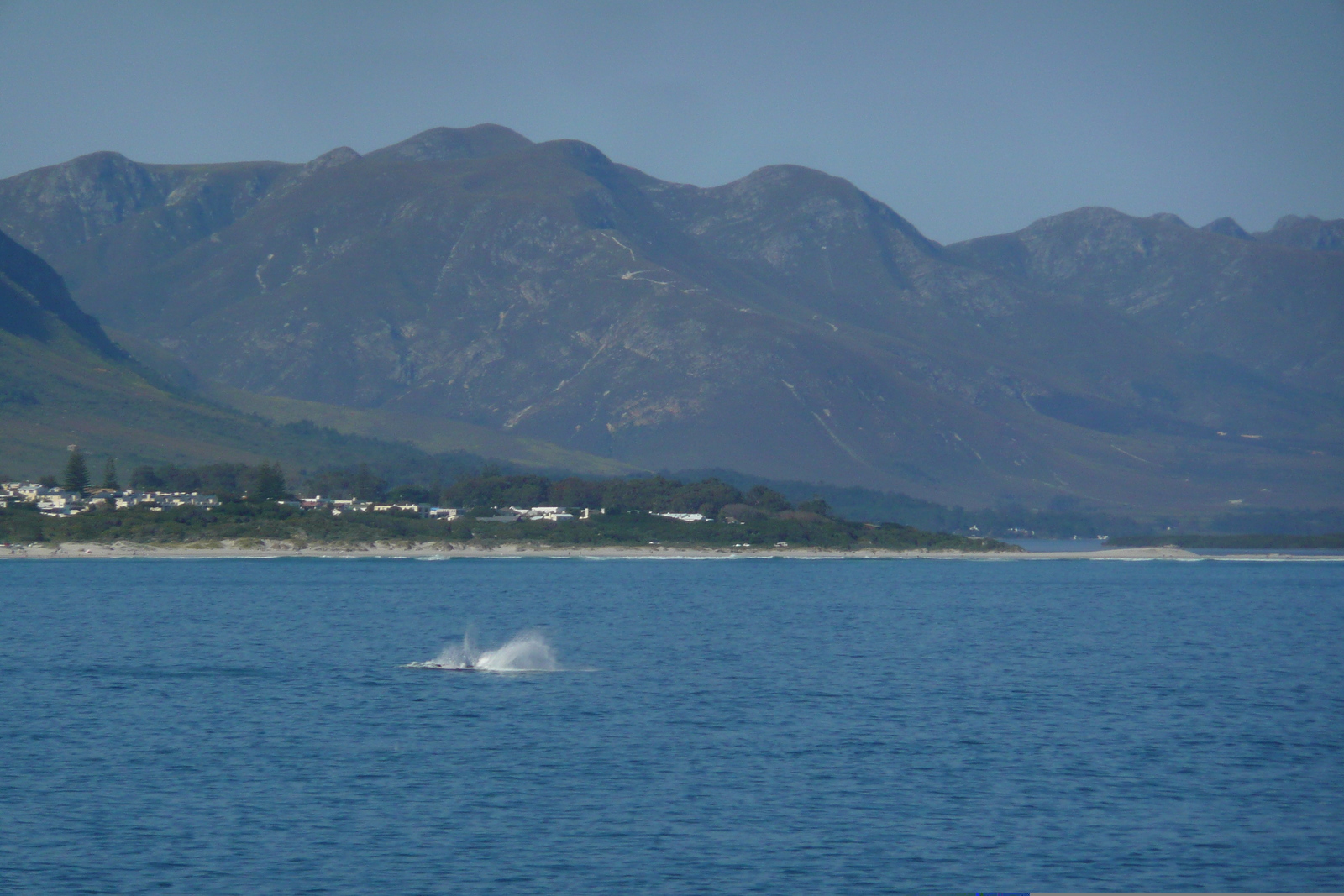 Picture South Africa Harmanus 2008-09 136 - Photographer Harmanus