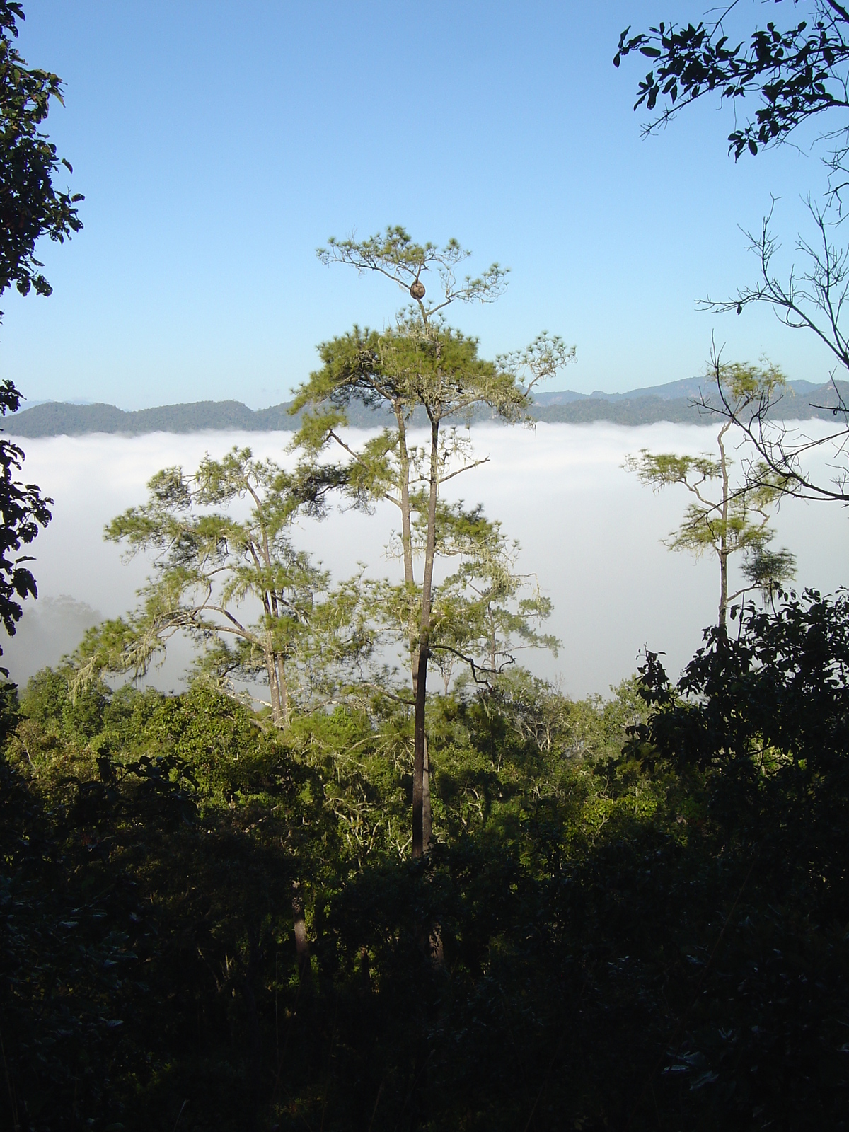 Picture Thailand Pang ma pha 2005-12 146 - Flights Pang ma pha