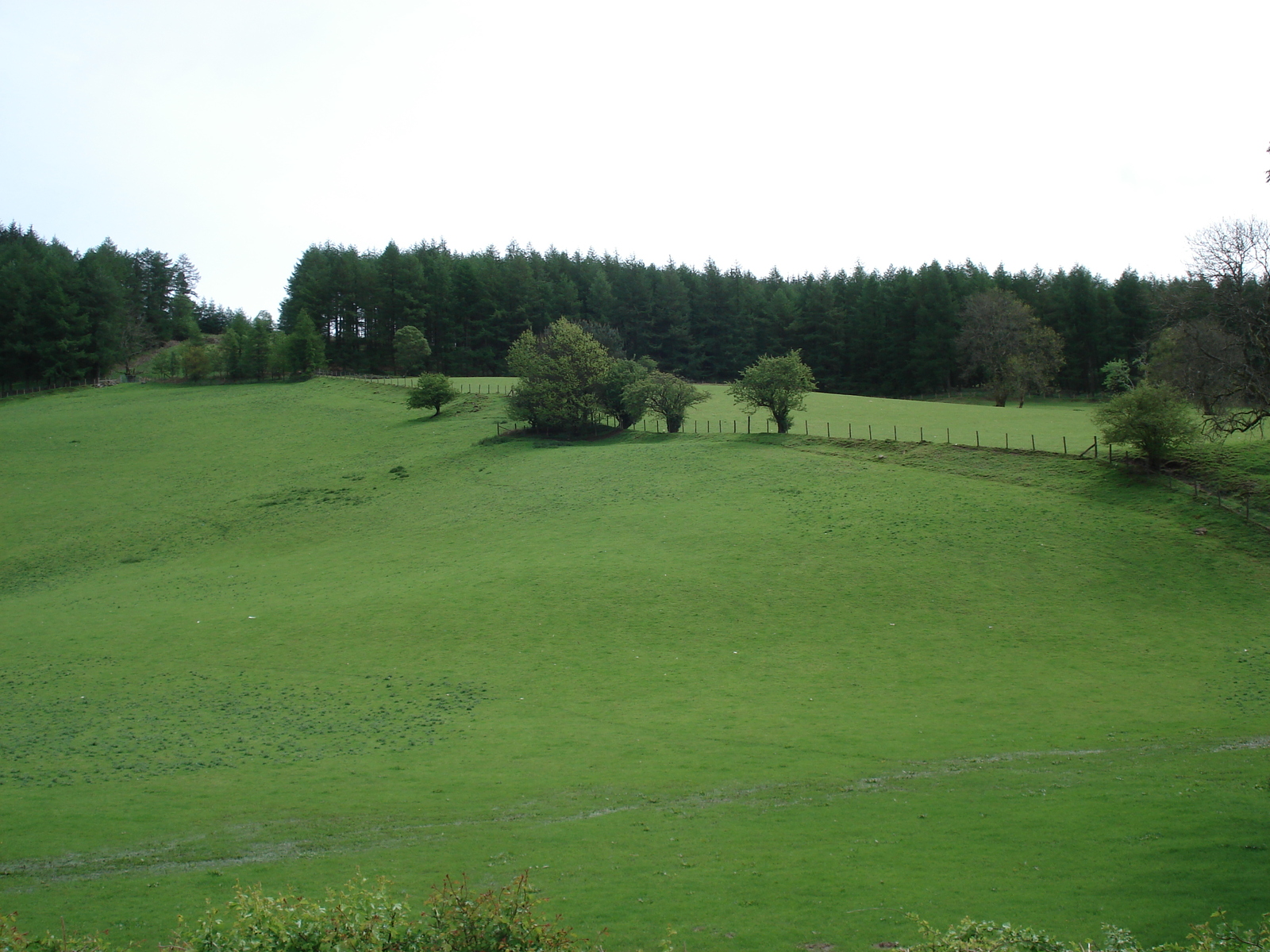 Picture United Kingdom Brecon Beacons National Parc 2006-05 10 - Perspective Brecon Beacons National Parc