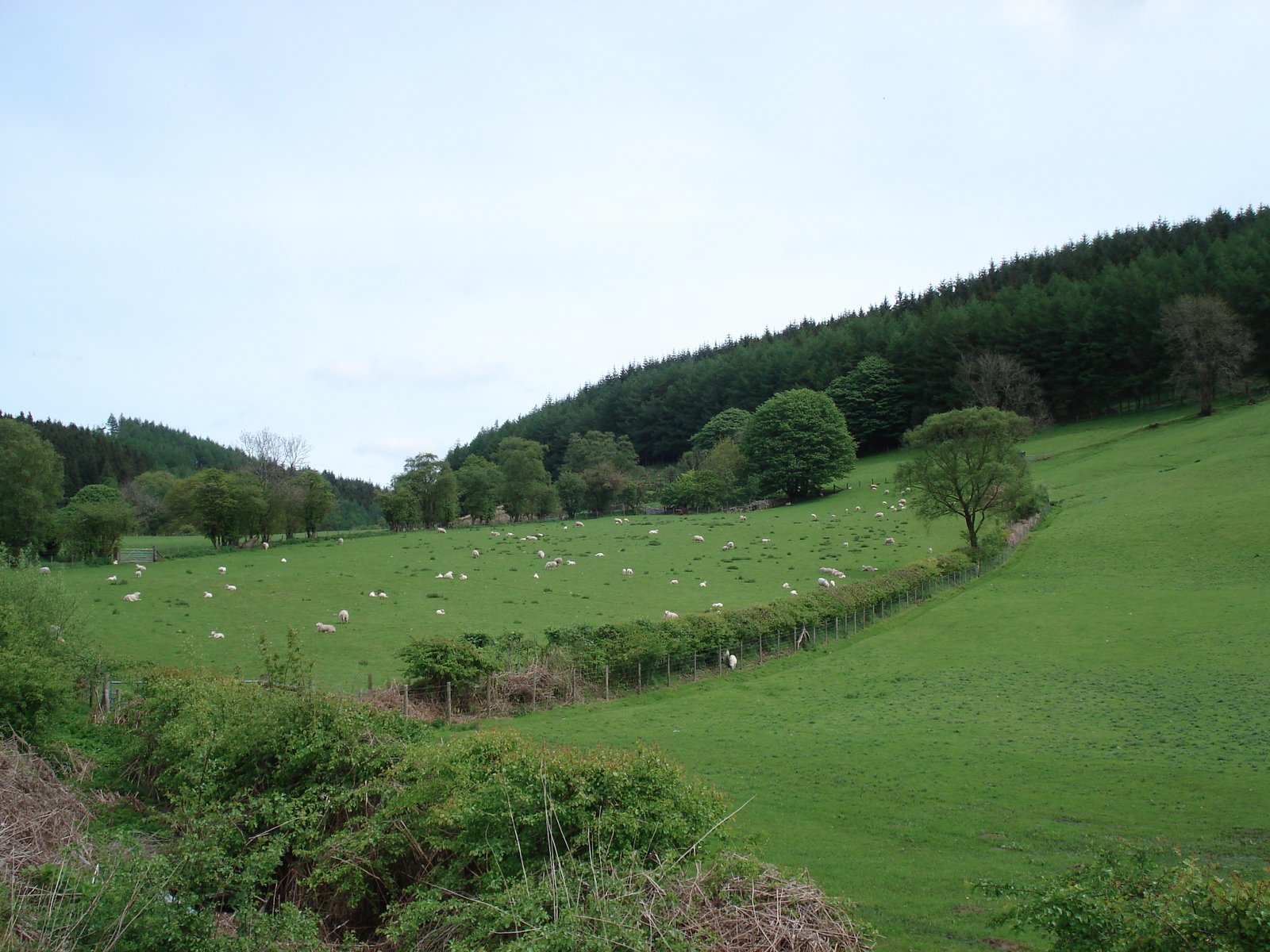 Picture United Kingdom Brecon Beacons National Parc 2006-05 33 - Road Map Brecon Beacons National Parc