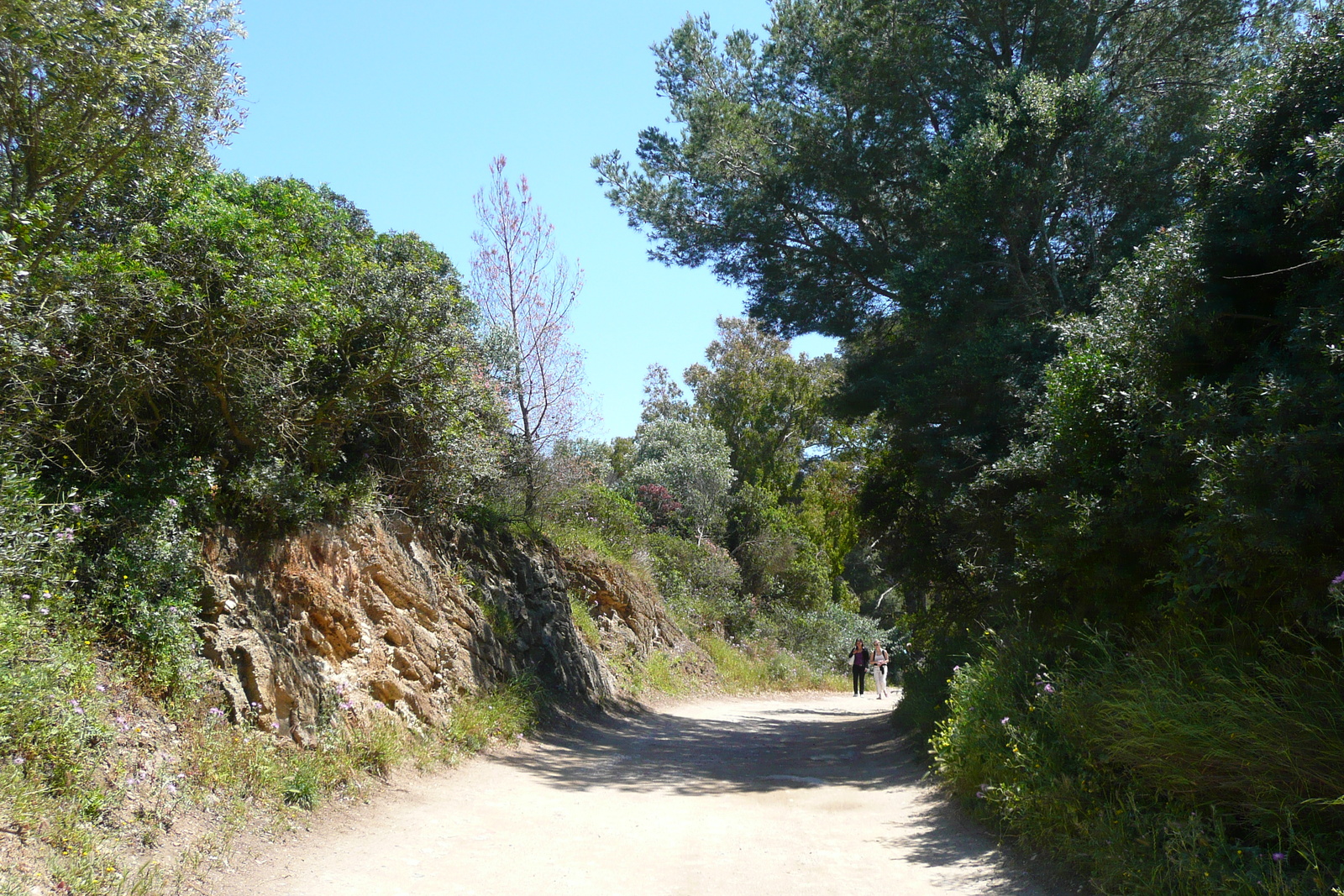 Picture France Porquerolles Island Pointe Bearlieu 2008-05 12 - Flights Pointe Bearlieu