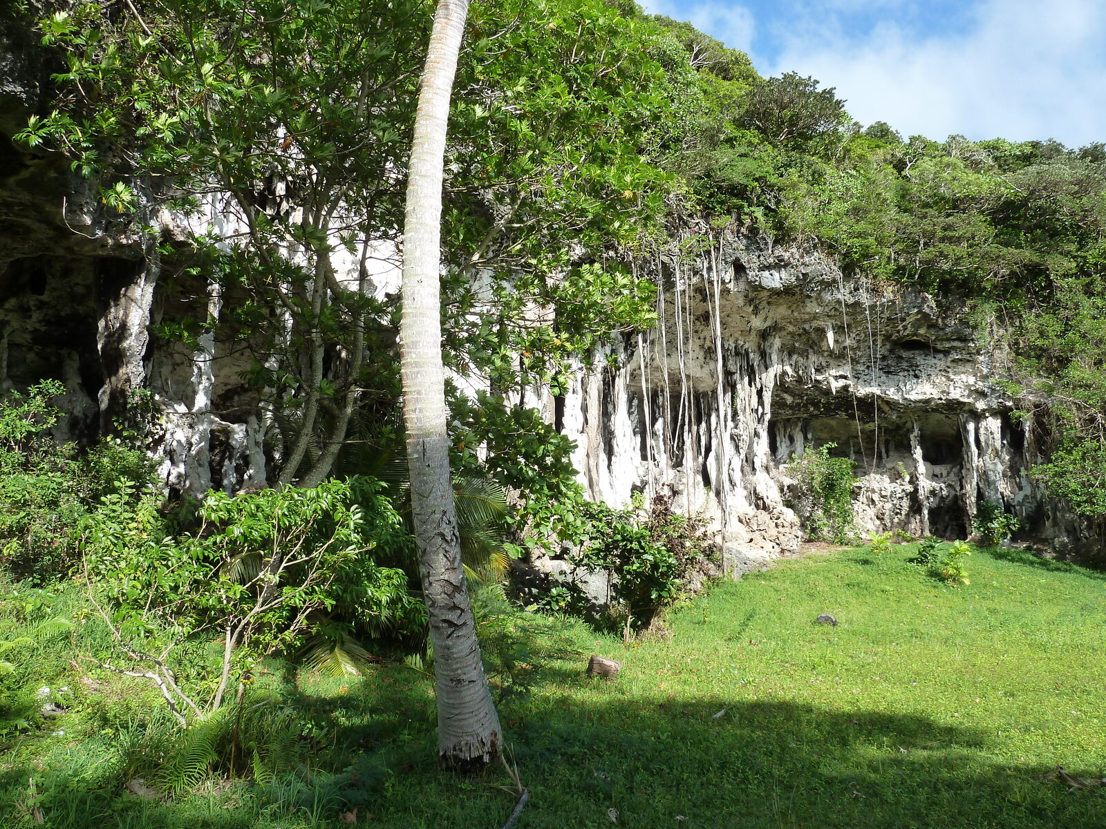 Picture New Caledonia Lifou Josip 2010-05 4 - Perspective Josip