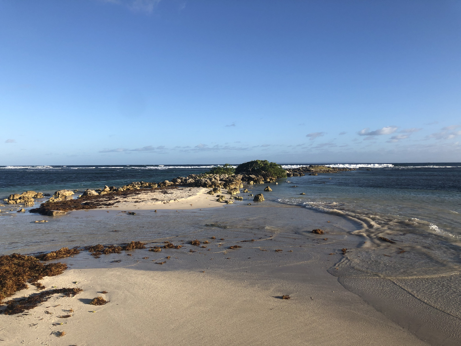 Picture Guadeloupe La Caravelle Beach 2021-02 162 - Tourist Attraction La Caravelle Beach