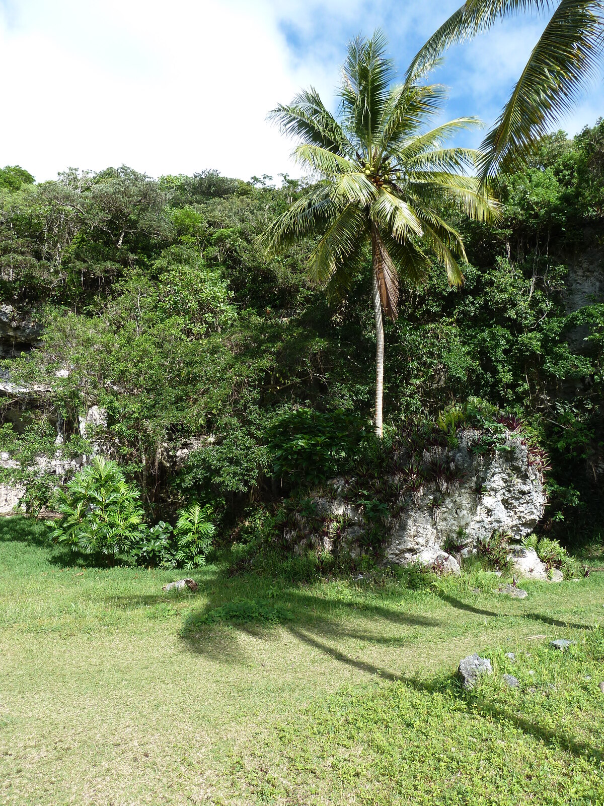 Picture New Caledonia Lifou Josip 2010-05 15 - Visit Josip