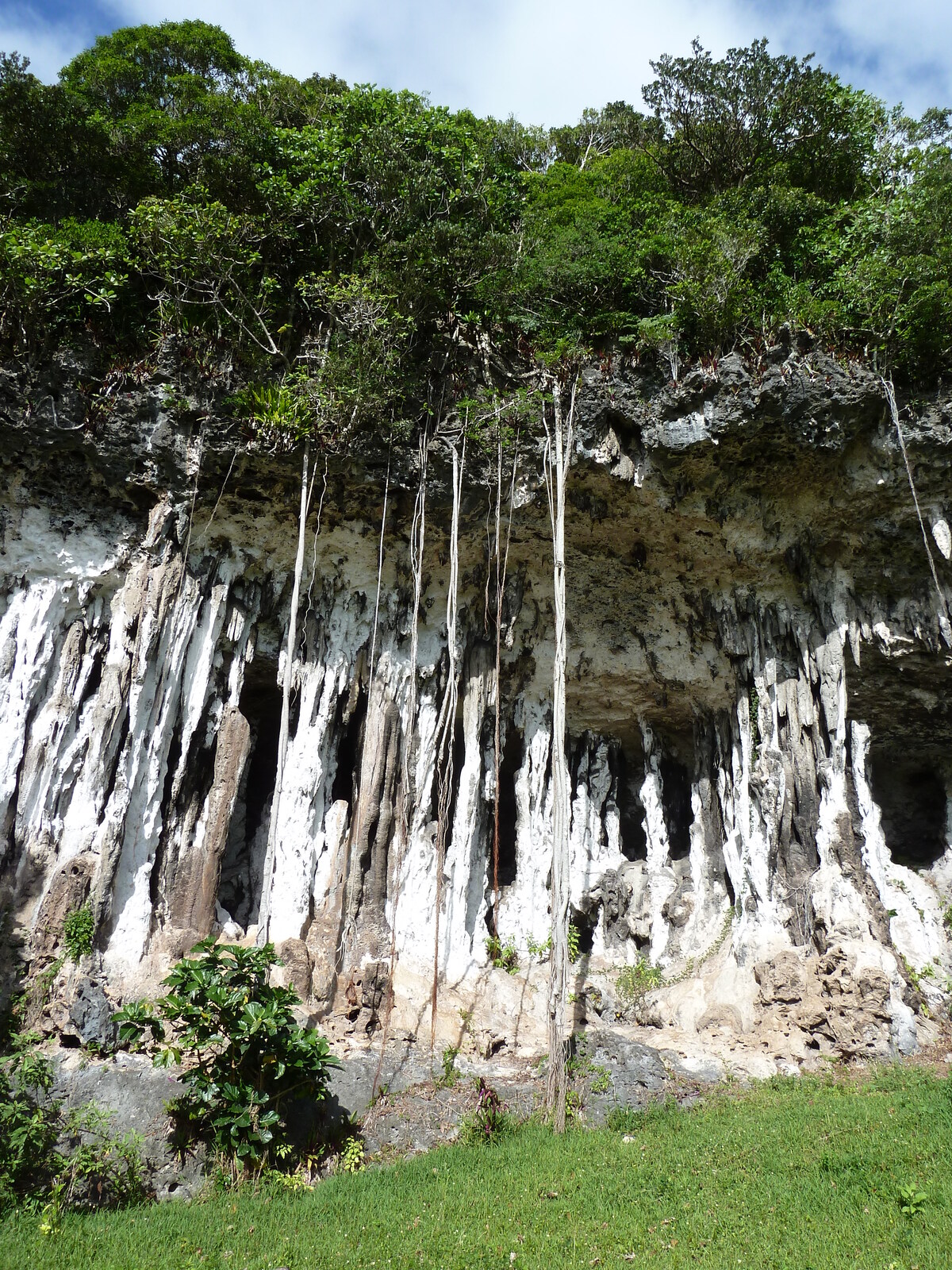 Picture New Caledonia Lifou Josip 2010-05 12 - Picture Josip