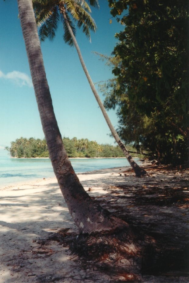 Picture Polynesia Moorea 1993-04 24 - Photographers Moorea