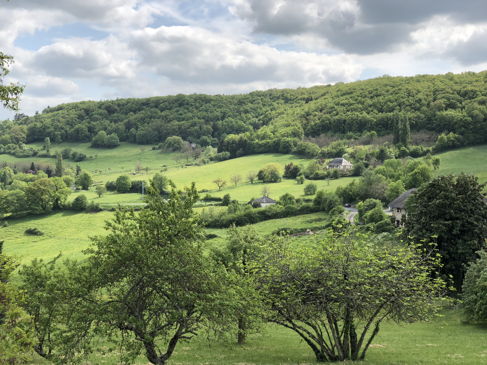 Picture France Turenne 2018-04 164 - Flight Turenne