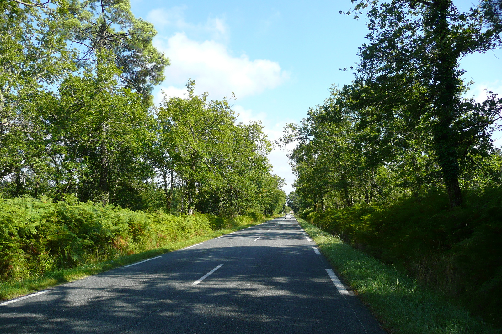 Picture France Gironde lakes road 2007-08 0 - Perspective Gironde lakes road