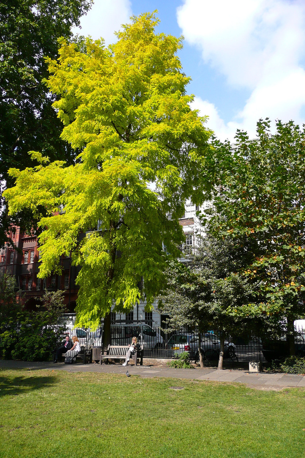 Picture United Kingdom London Soho Square 2007-09 52 - Photographer Soho Square