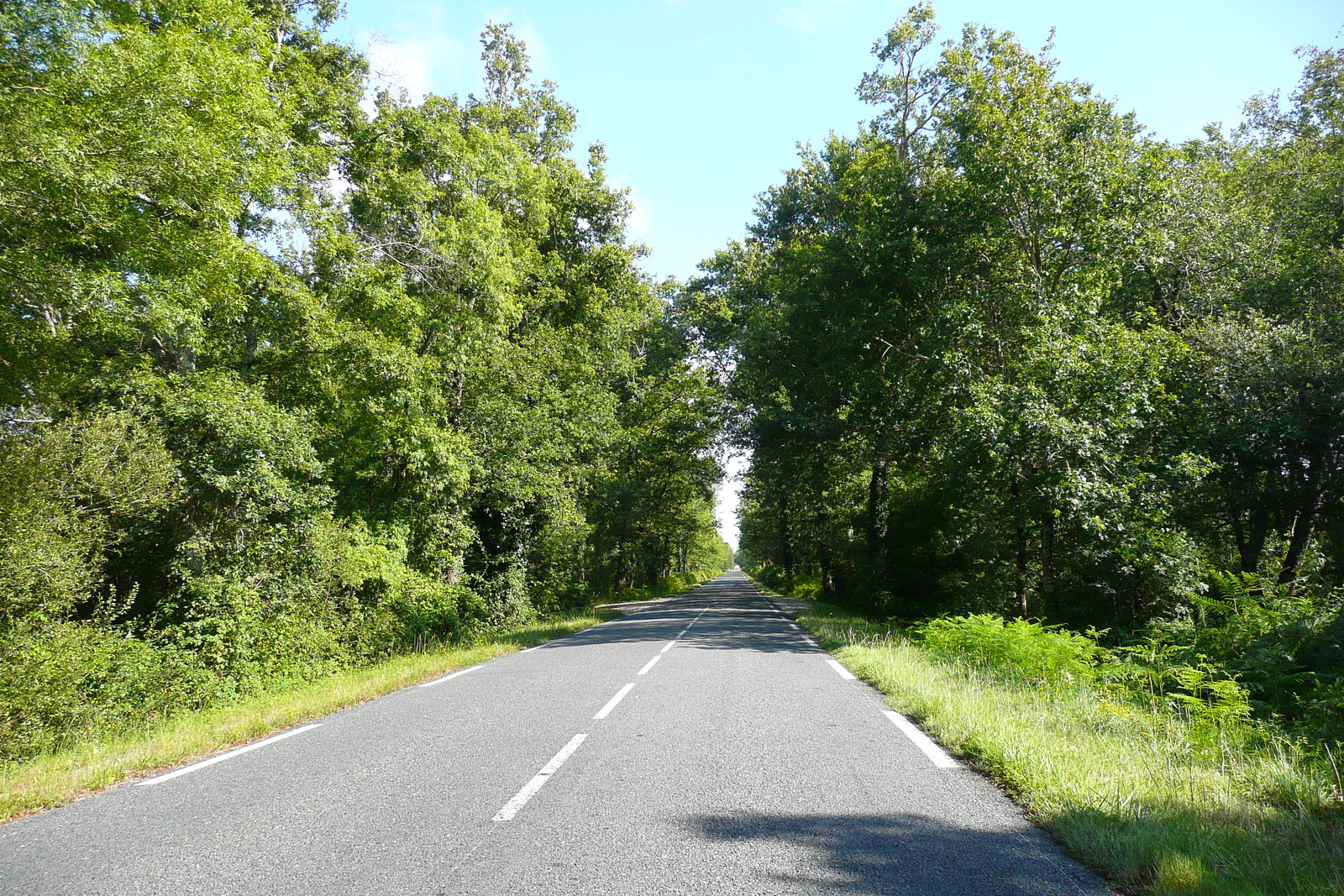 Picture France Gironde lakes road 2007-08 2 - Car Gironde lakes road